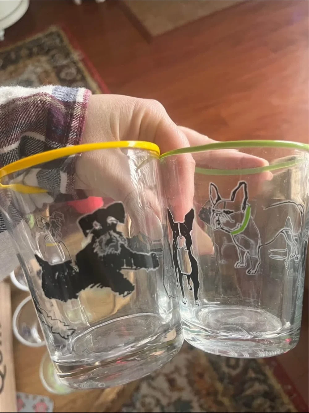 Anthropology Set of 2 Dog Glass Tumblers with Yellow and Green Rims